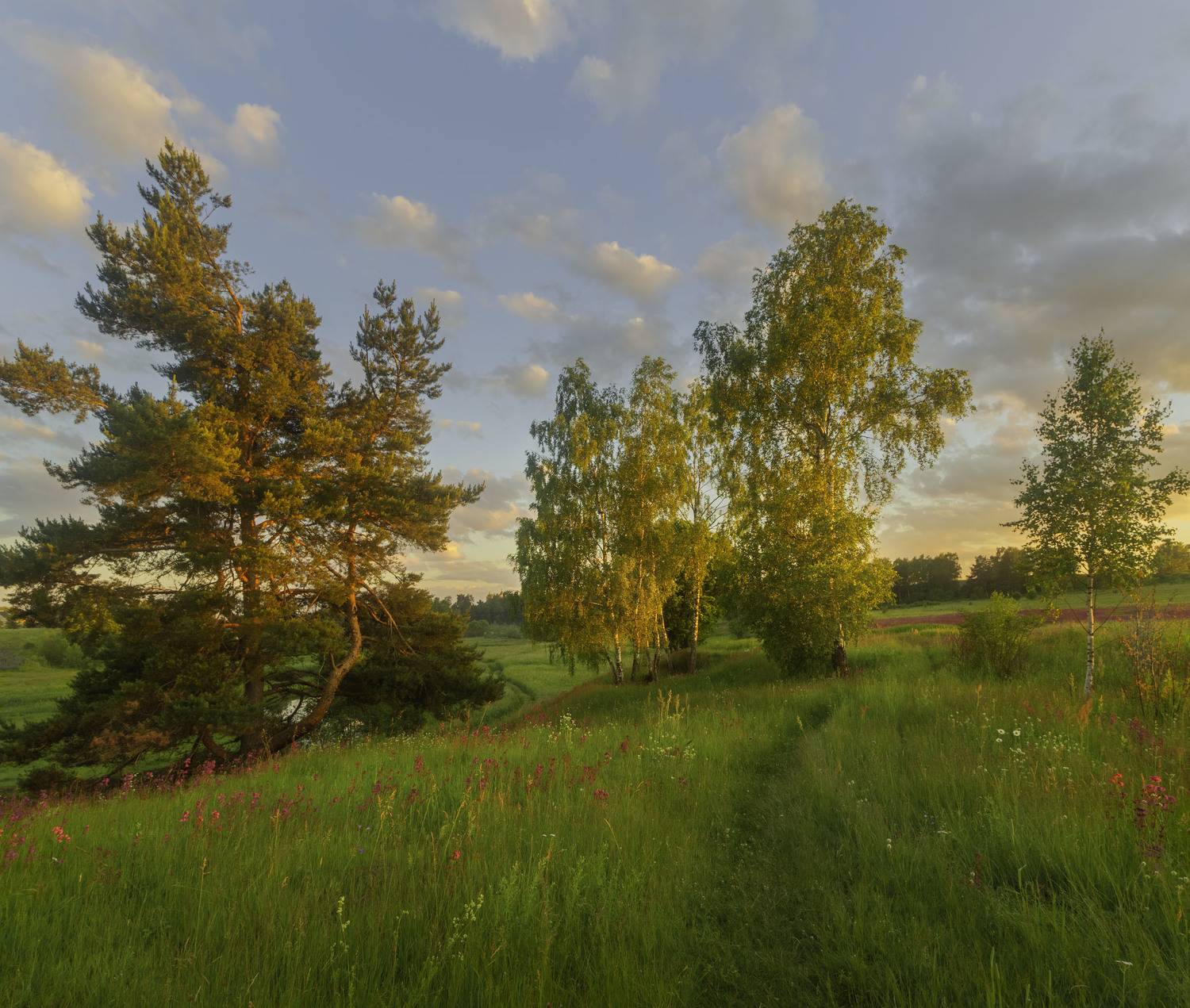 Фототуры с Владимиром Рябковым, #topnature #russpasibo #magic_shots #lovelyRussia #sunset_vision #exclusive_sky  #exclusive_shots #loves_russia2 #photoarena_nature #nature_sultans #nature_perfection #rsa_sky #rsa_sunset #photorussia #rsa_naturepics #sunse, Владимир Рябков