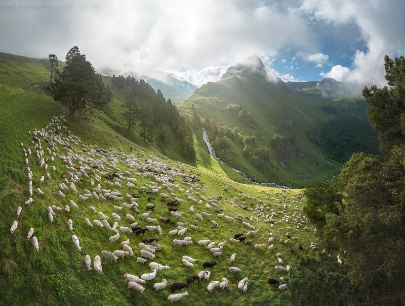 кчр, фототур, яковлевфототур, поход, загеданские, имеретинские, безмолвия, кавказ, имеретинка, загеданка, кавказ, поход Утро в КЧР фото превью