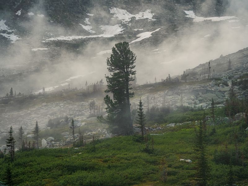 ергаки саяны озеро путешествие туризм горы сибирь горныйтуризм Одно ненастное утро в горной долине Черного озера. Природный парк Ергаки. фото превью