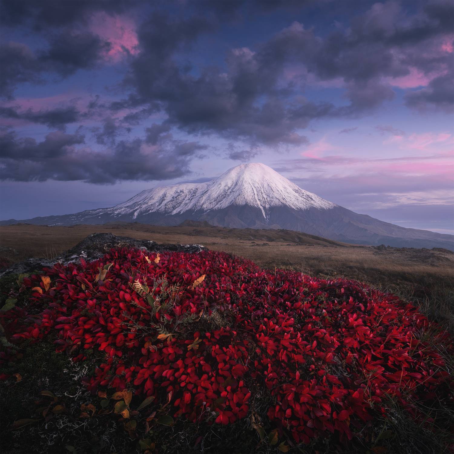 , Политова Анна