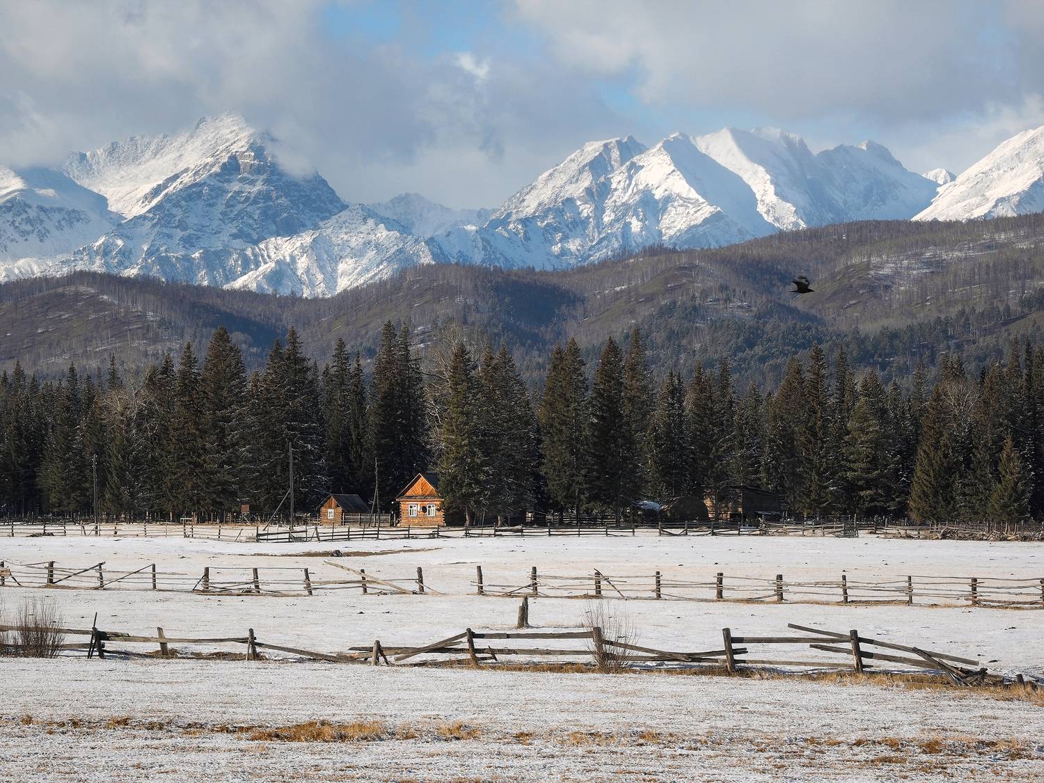 , Александр Попов