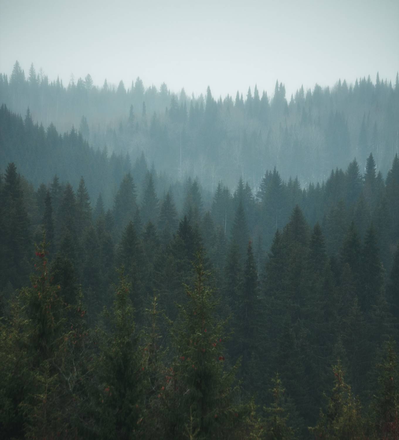 , Котов Андрей