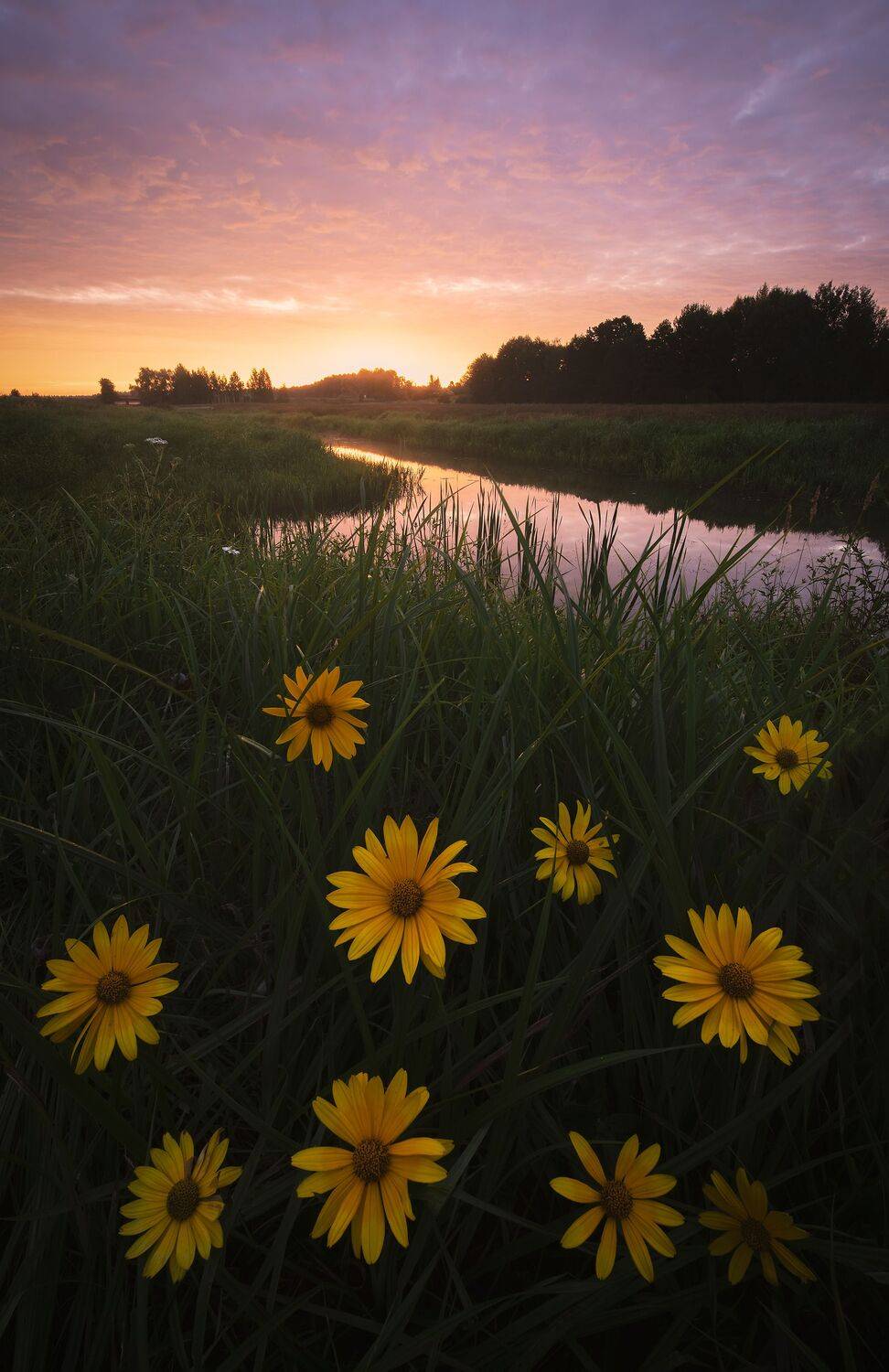 , Захаров Дмитрий