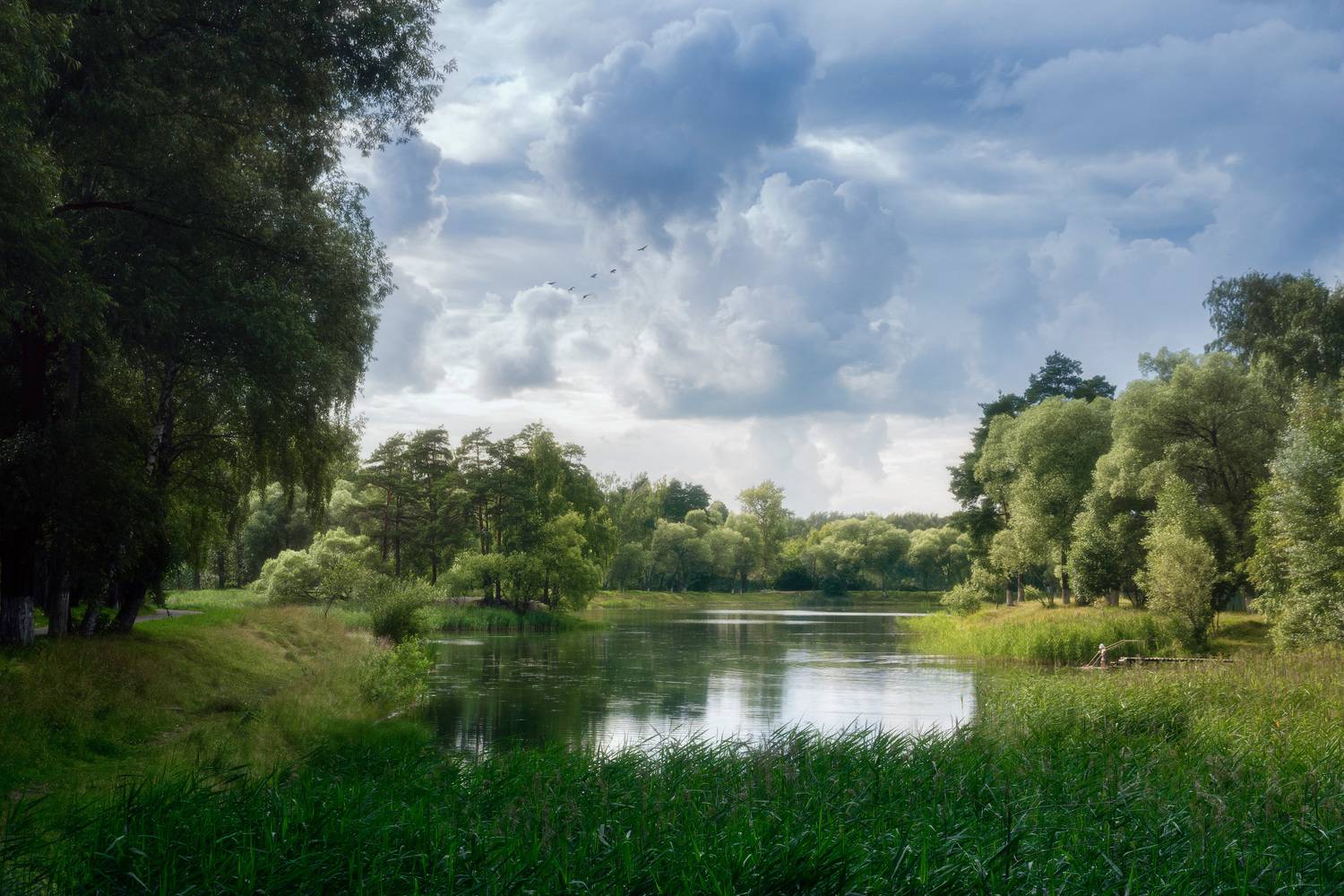 лес, озеро, небо, отражения, Валерий Вождаев