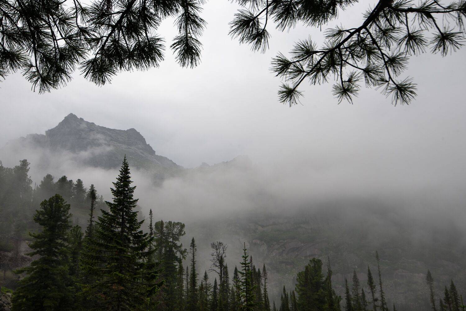 , Антонов Антон