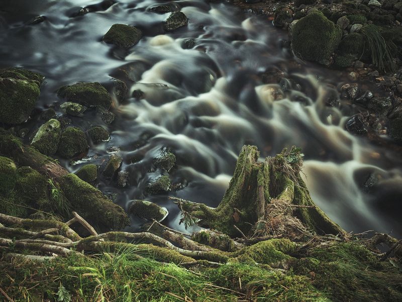 a river runs through it  фото превью