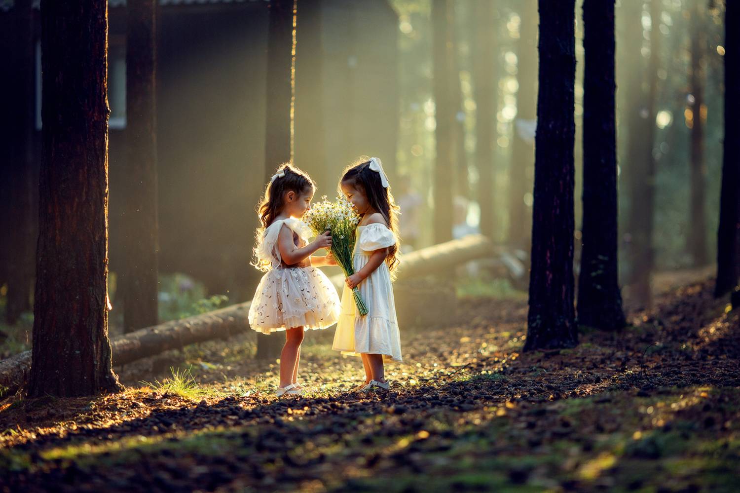 , Мельникова Анна