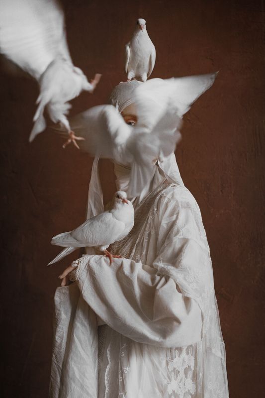 Shape-shifting story фото превью