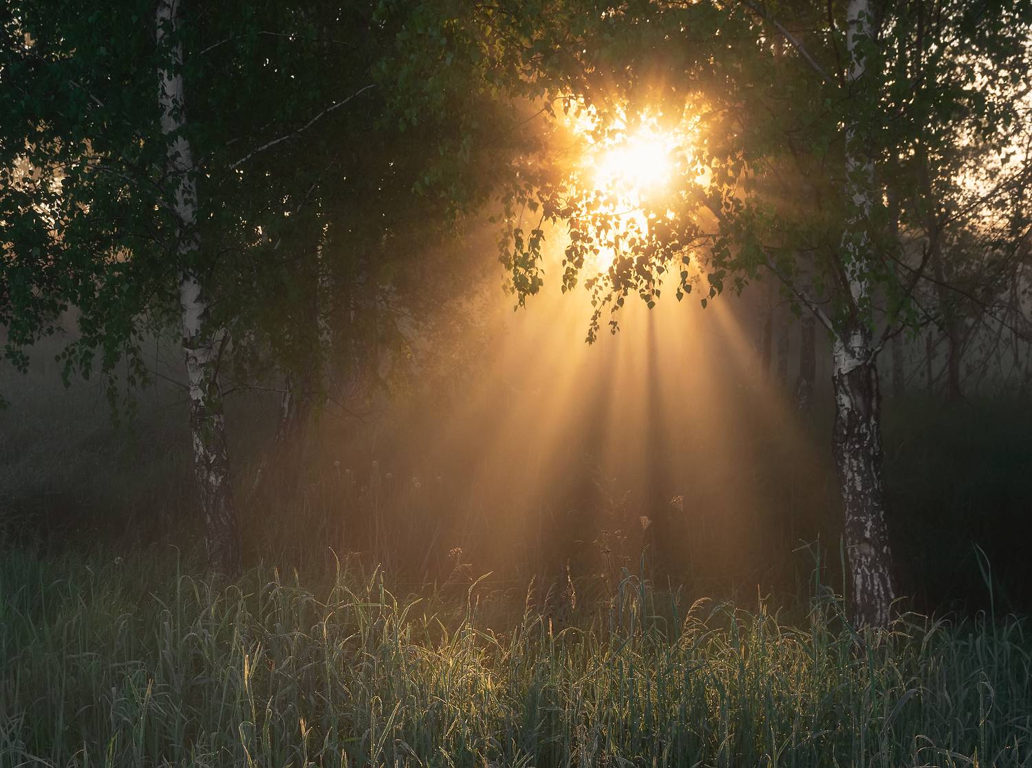 , Захаров Дмитрий