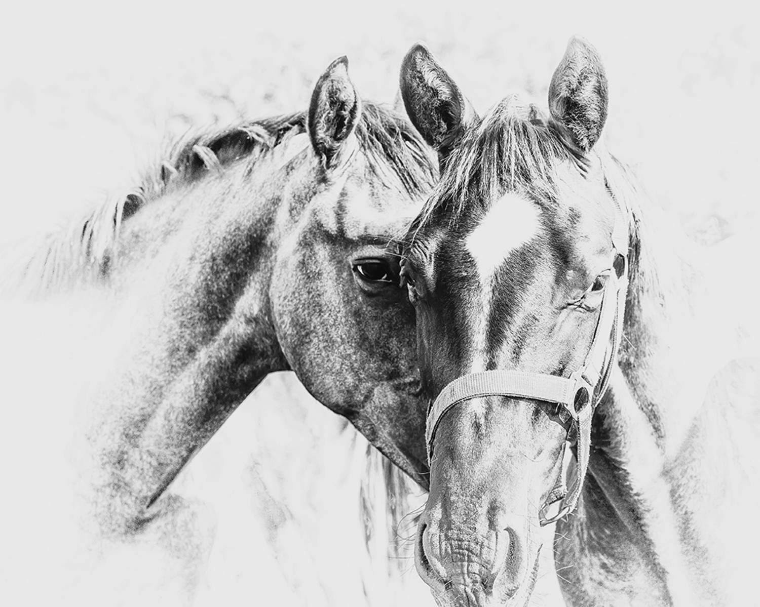 , Антипов Игорь