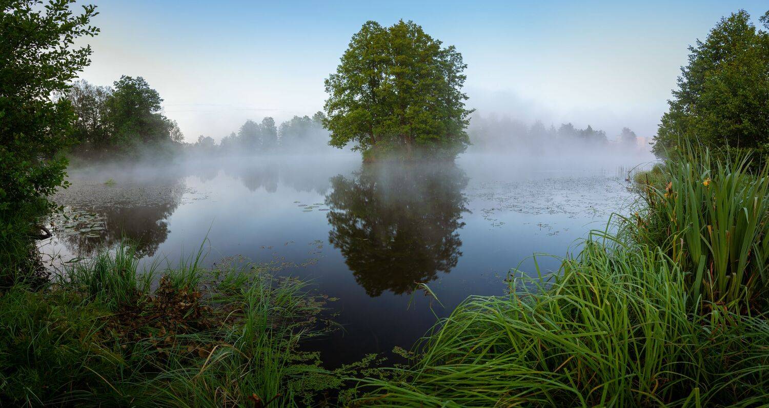 , Николай Колобов