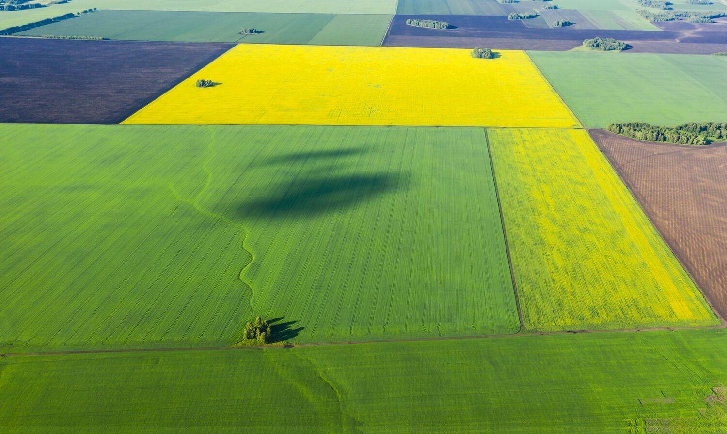 курганская зауралье, Кутыгин Эдуард