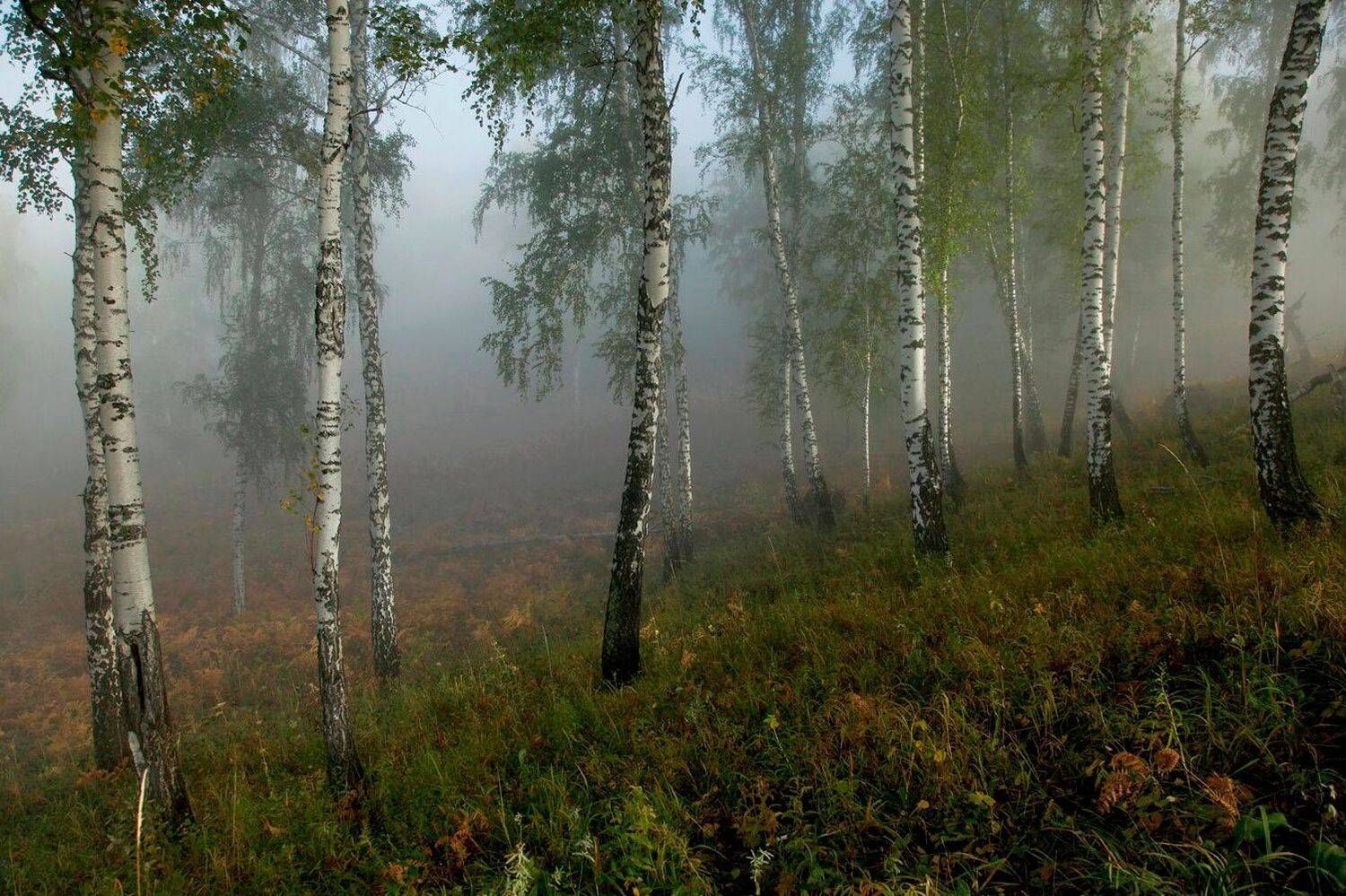 , Алексей Хахлов