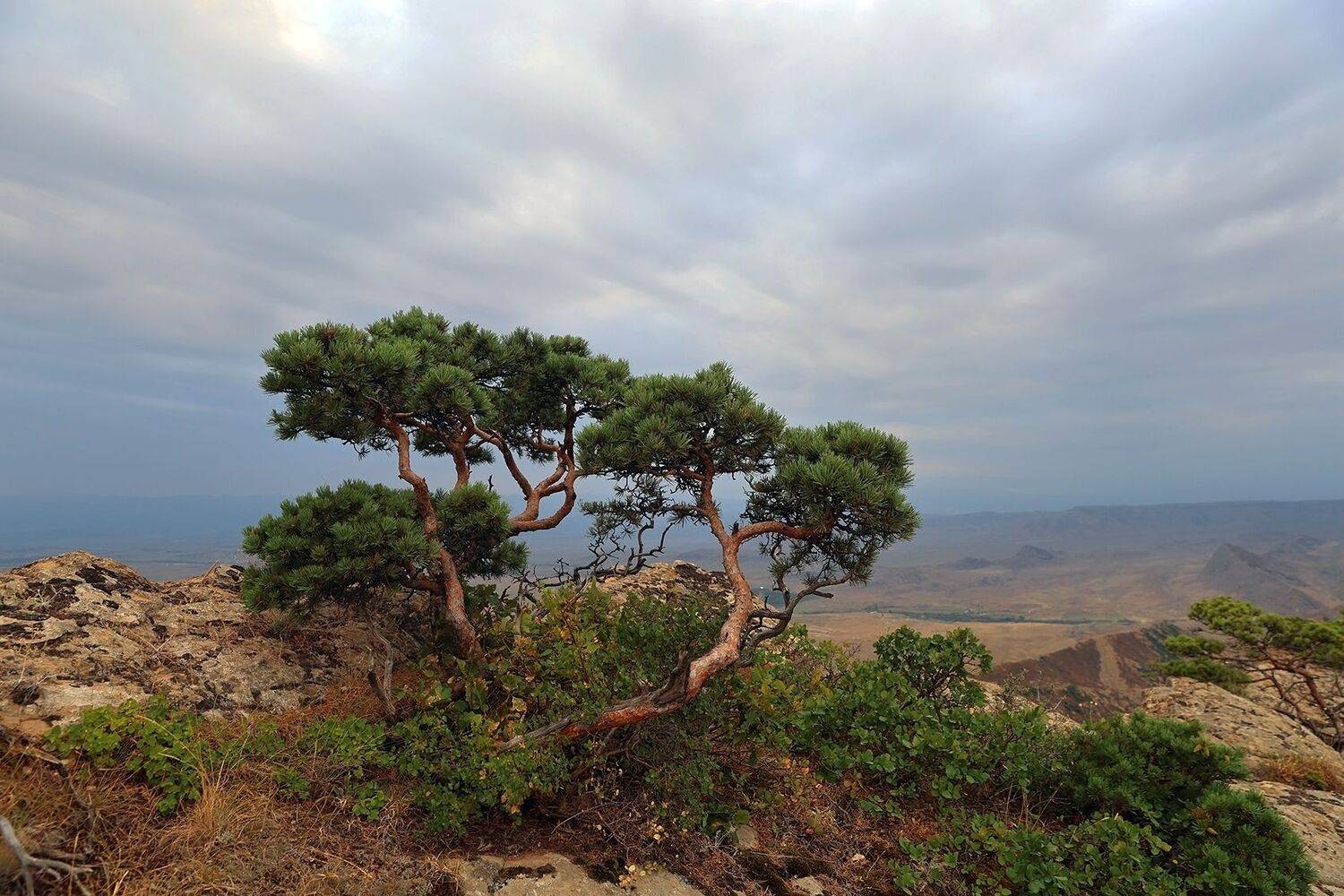 горы,пейзаж,дагестан,, Magov Marat