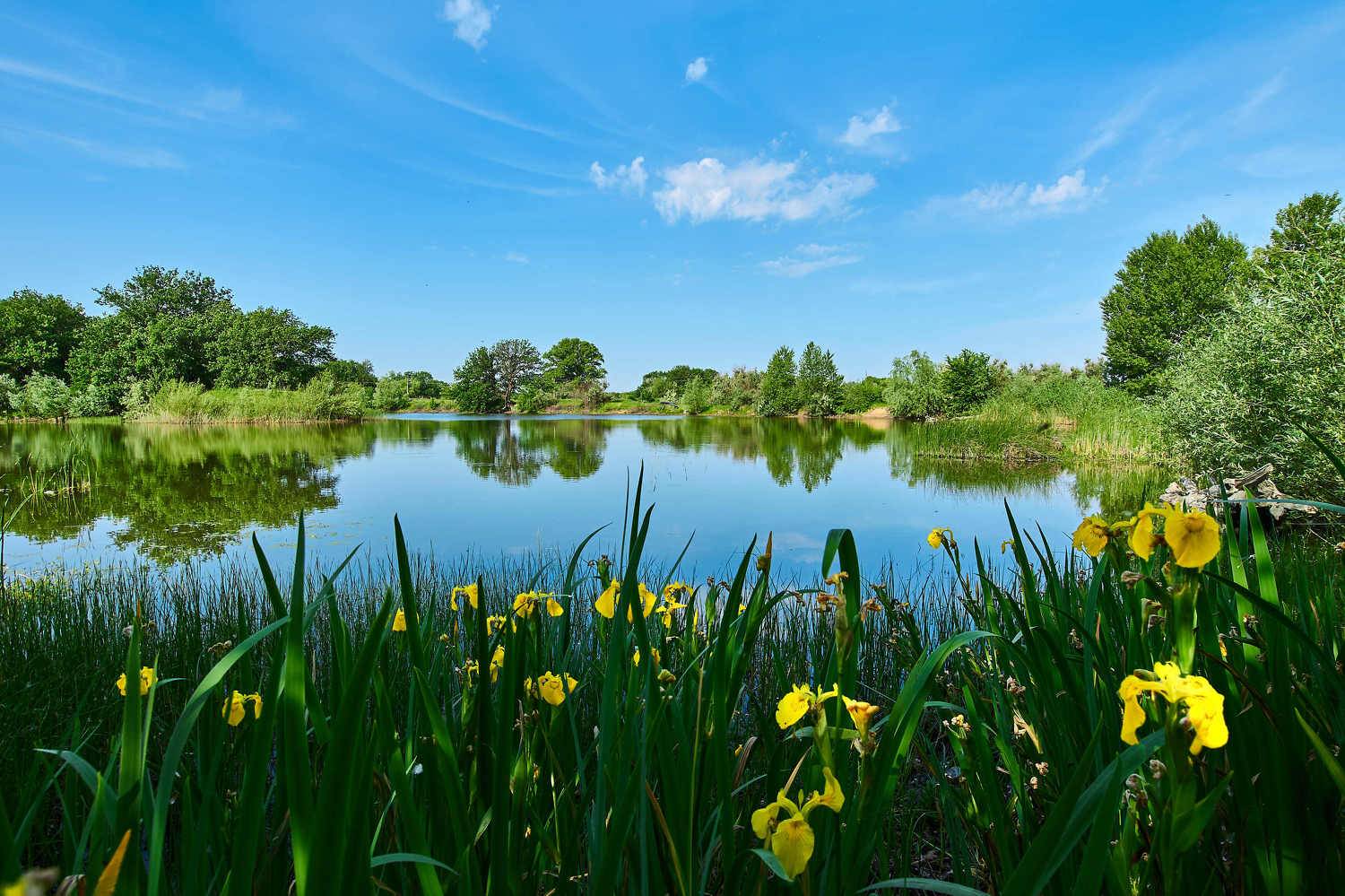volgograd, russia, wildlife, , Сторчилов Павел