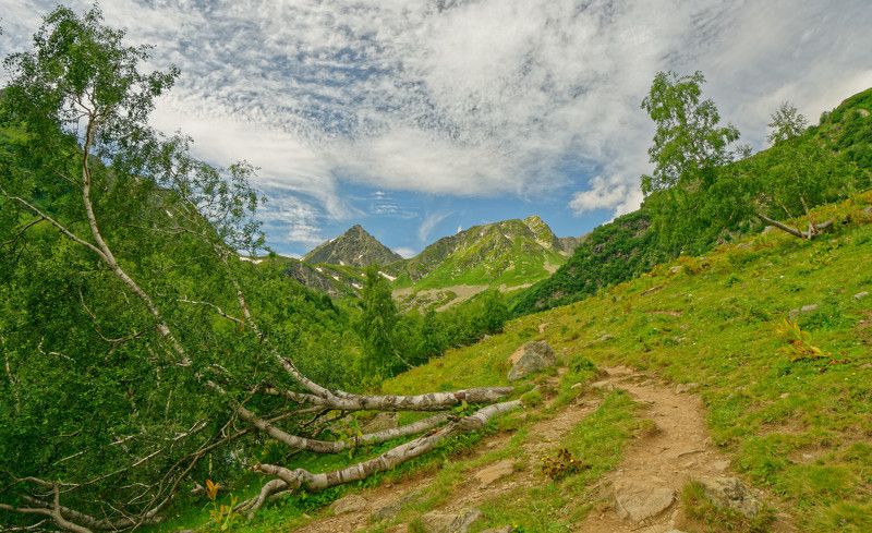 фото превью