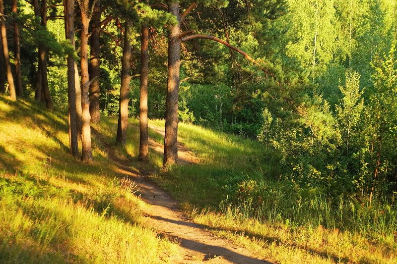 Светография фото превью