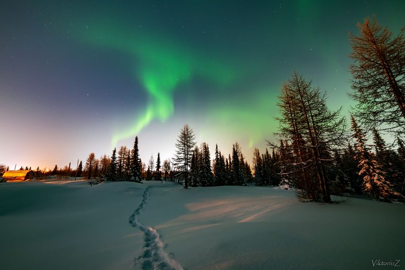 северное сияние, полярное сияние, заполярье, aurora borealis, polar lights  фото превью