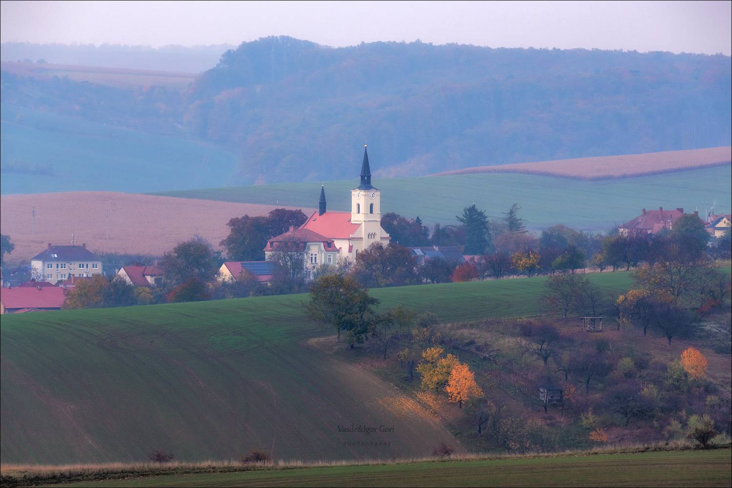 южная моравия,пейзаж,věteřov,деревья,линии,south moravian,lines,czech,золотая осень,чехия,landscape, Гори Василий