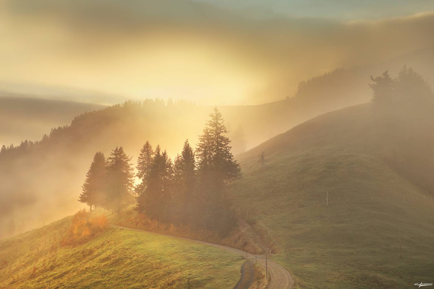 swiss,швейцария,осень,rigi, Николай Матвеев
