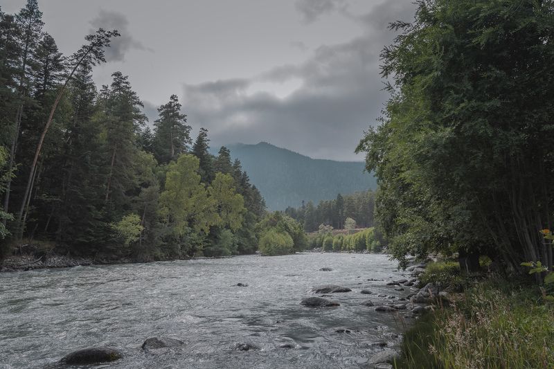 *** фото превью