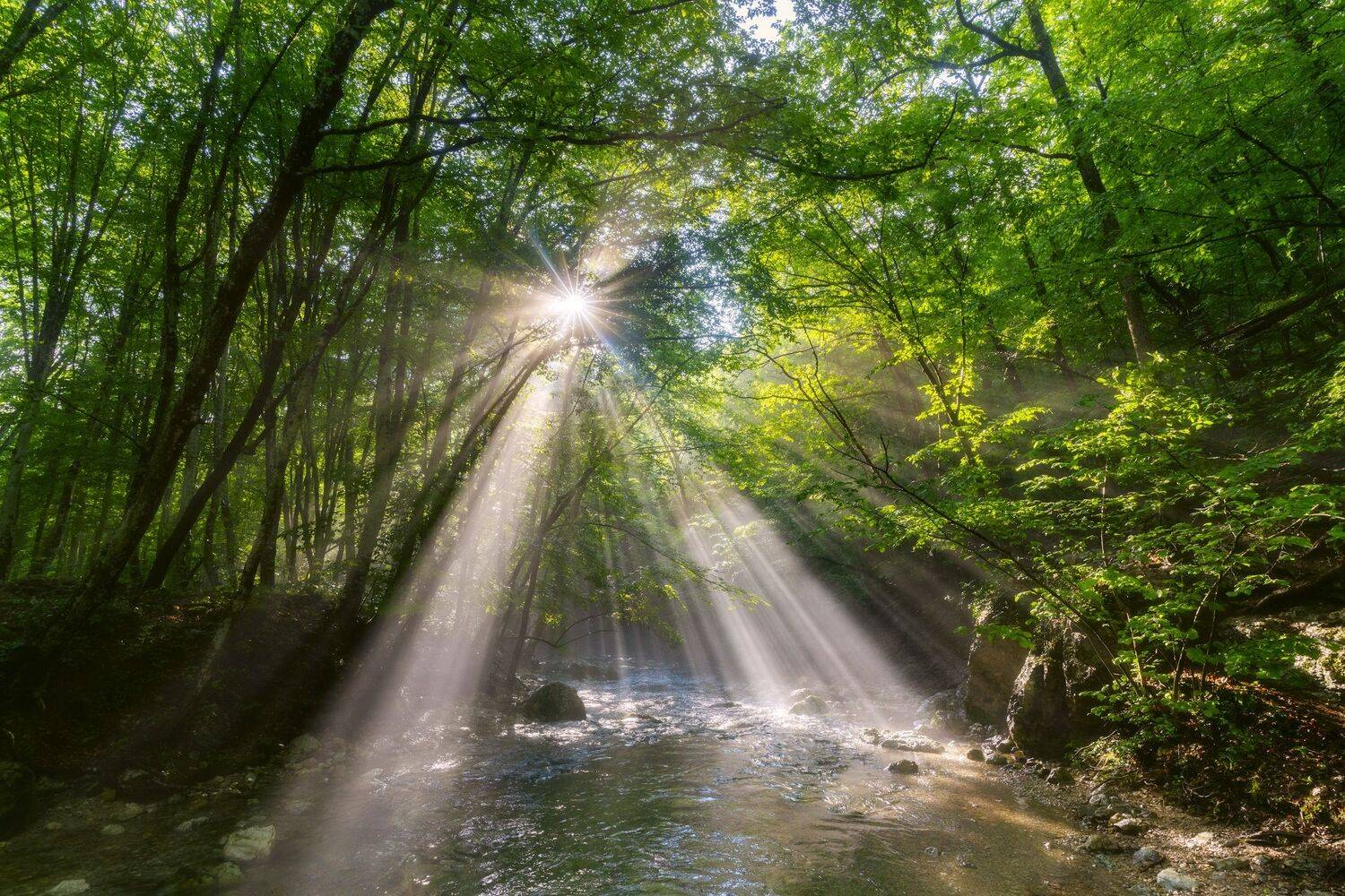 , Юлия Мальцева