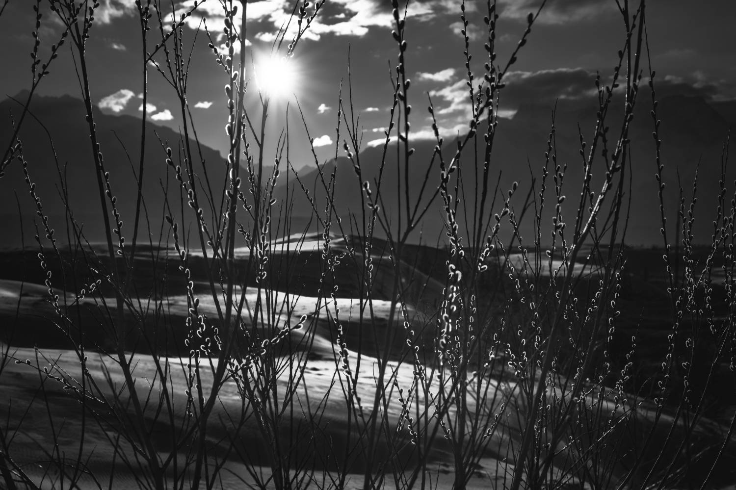 Чарская пустыня, Чара, пейзаж, mountains, Кодар, пустыня, горы, Забайкалье,&nbsp;бархан, песок, landscape, desert, чб, черно-белое, Полякова Наталия