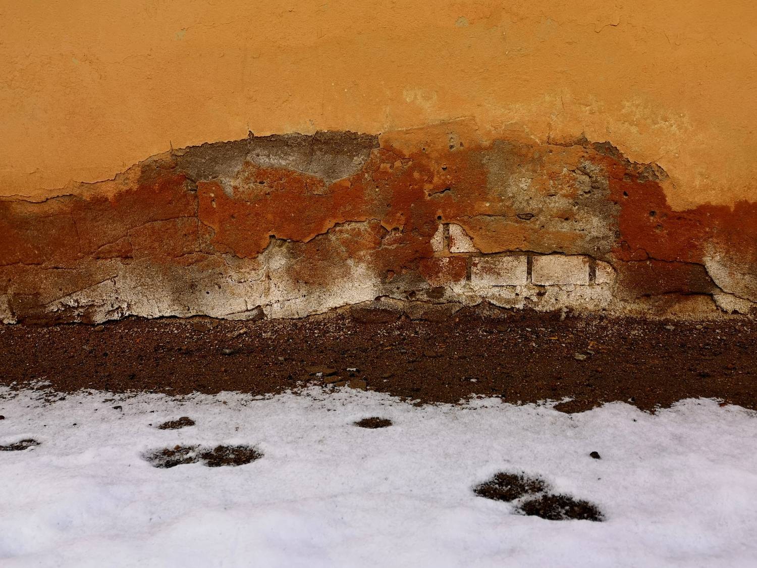 , Антон Лаба