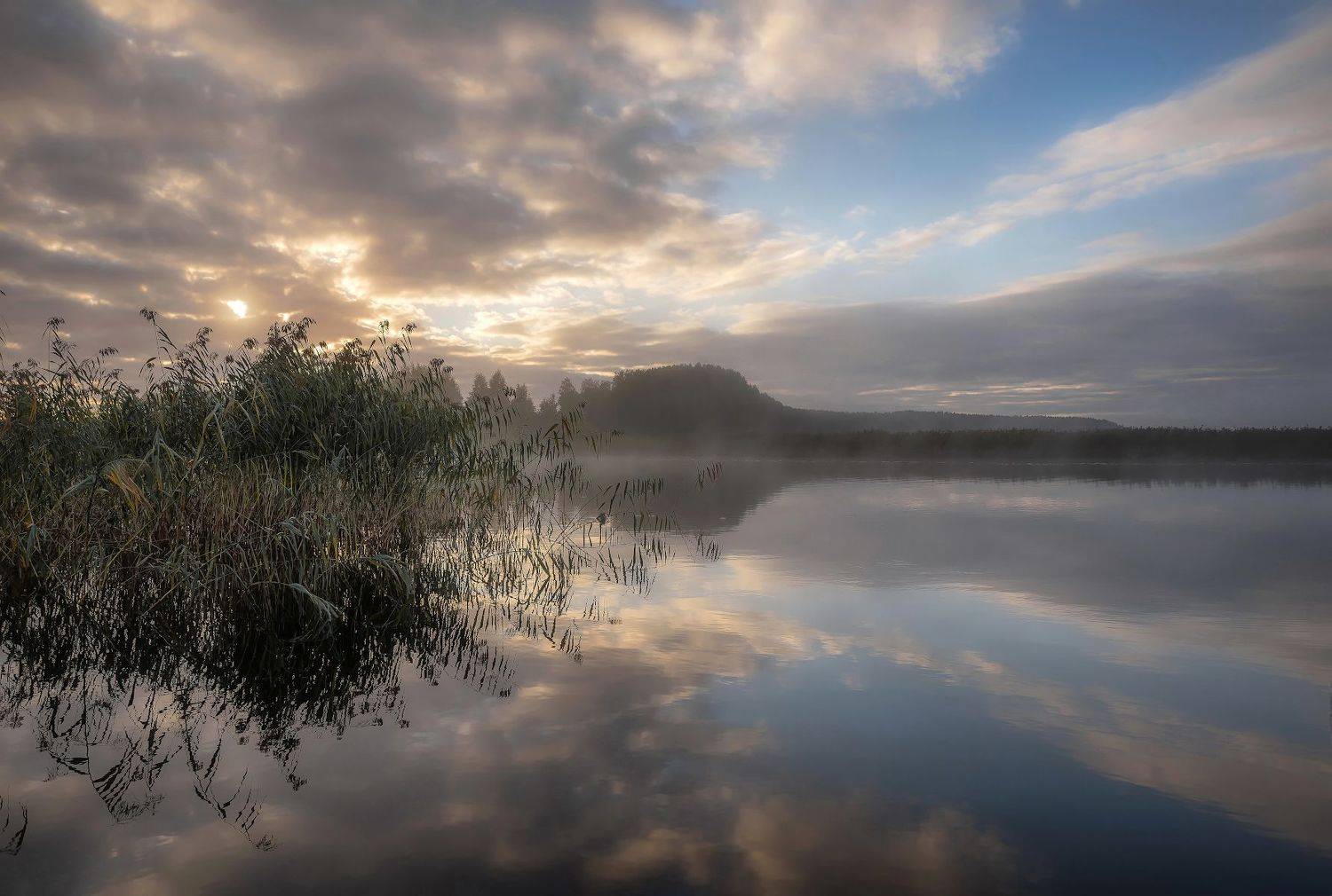 утро, рассвет, озеро, тростник, селигер, туман, Сергей Аникин