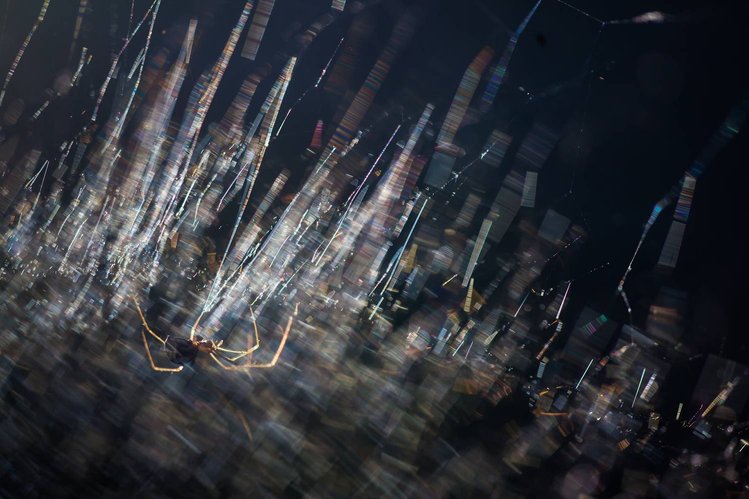 , Викулов Николай