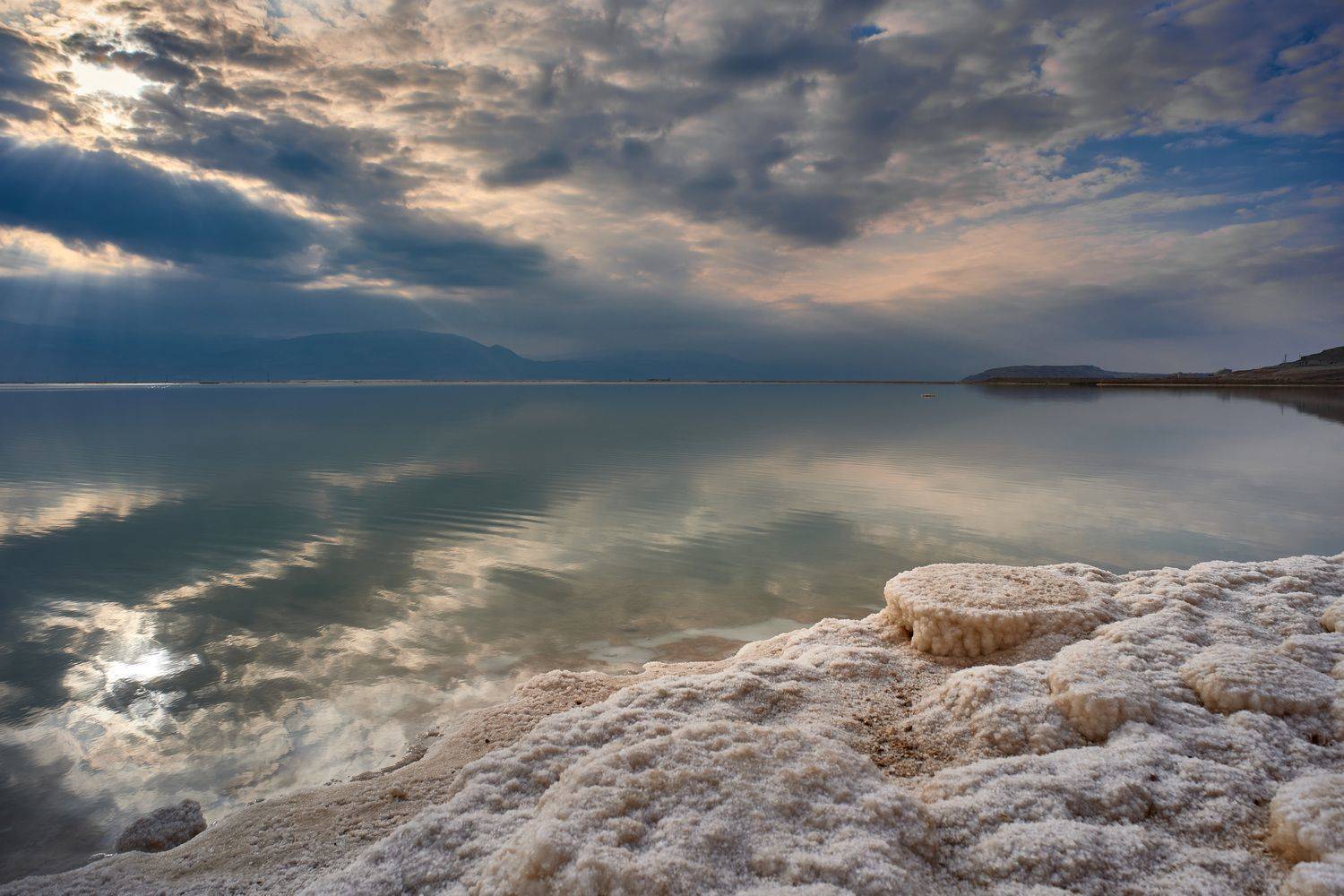 , David Solodar