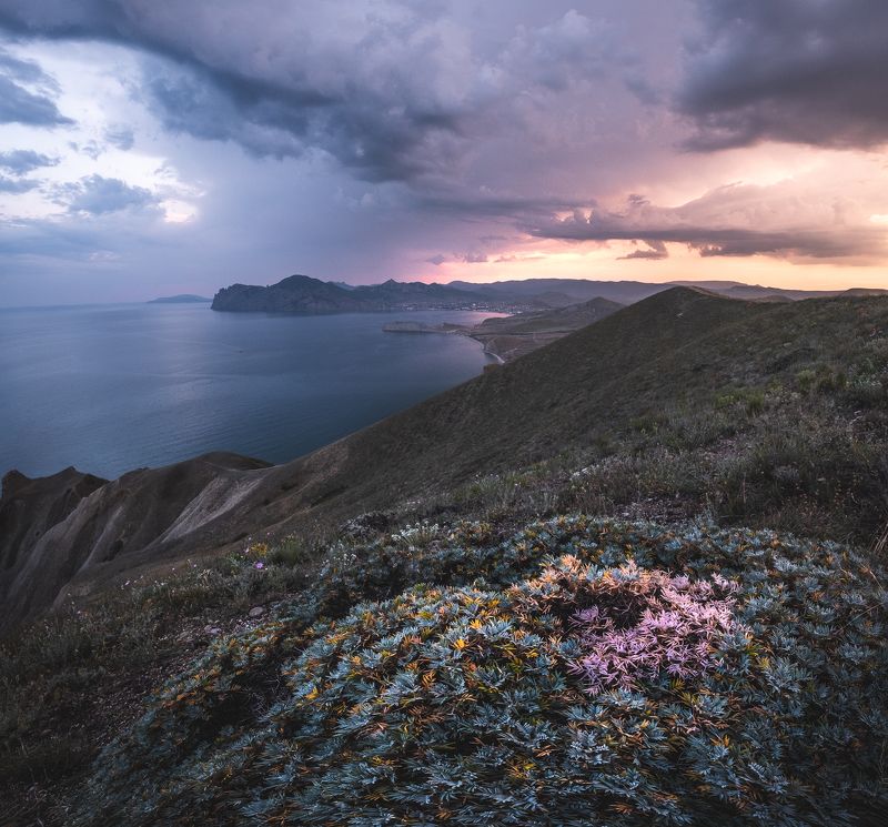 фото превью