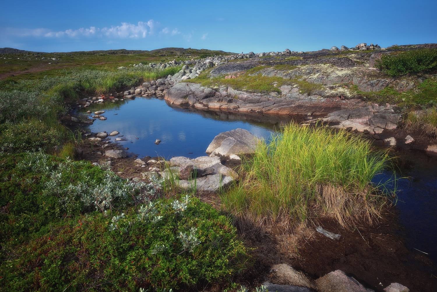 Териберка, Кольский полуостров, пейзаж, Алексей Никонов