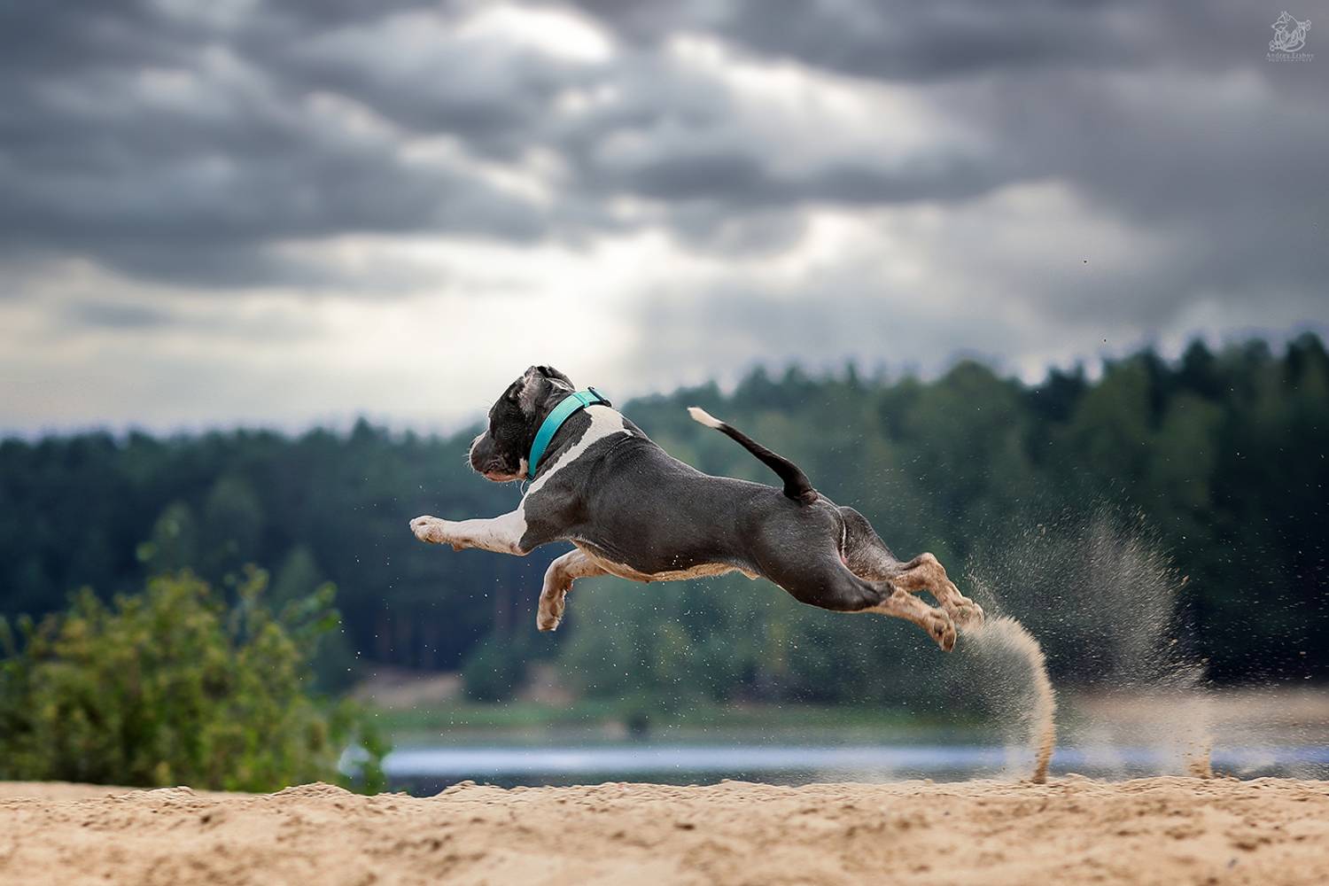 , Андрей Ершов