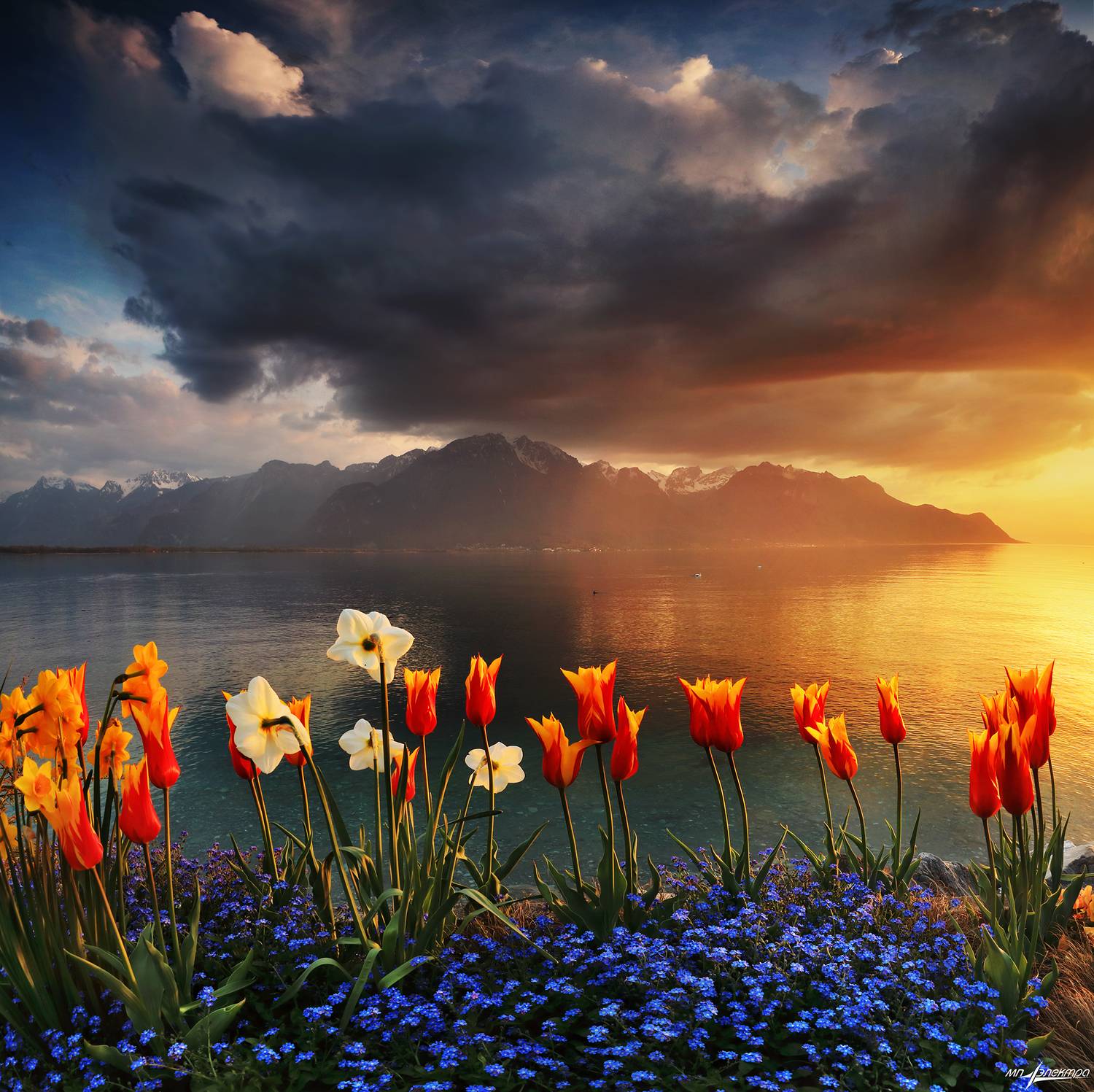 swiss,швейцария,весна,montreux, Николай Матвеев