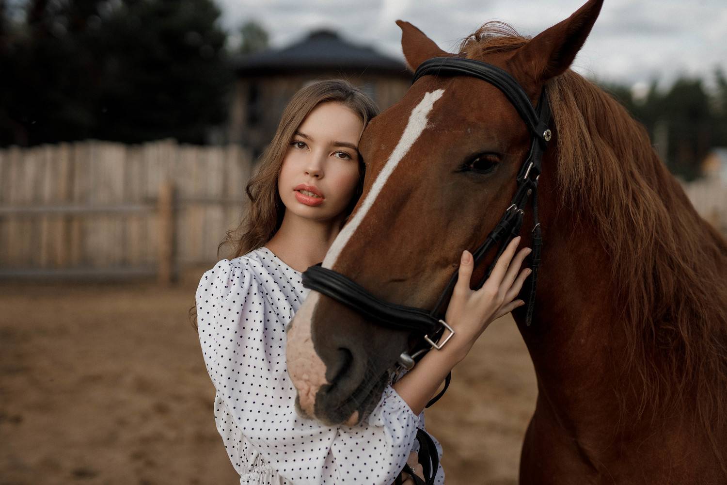 девушка, модель, портрет, фотосессия, студия, гламур, girl, model, modeling, young, portrait, творческий портрет, женский портрет, woman, young woman, glamour, постановка, постановочная фотография, fashion, лошадь, фотосессия с лошадью, Владимир Васильев