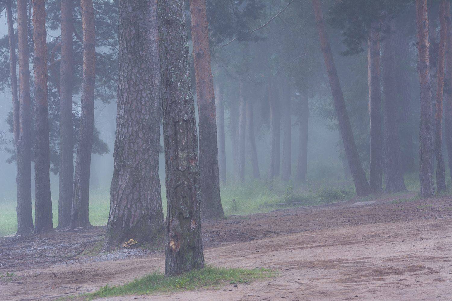 , Волоцков Александр