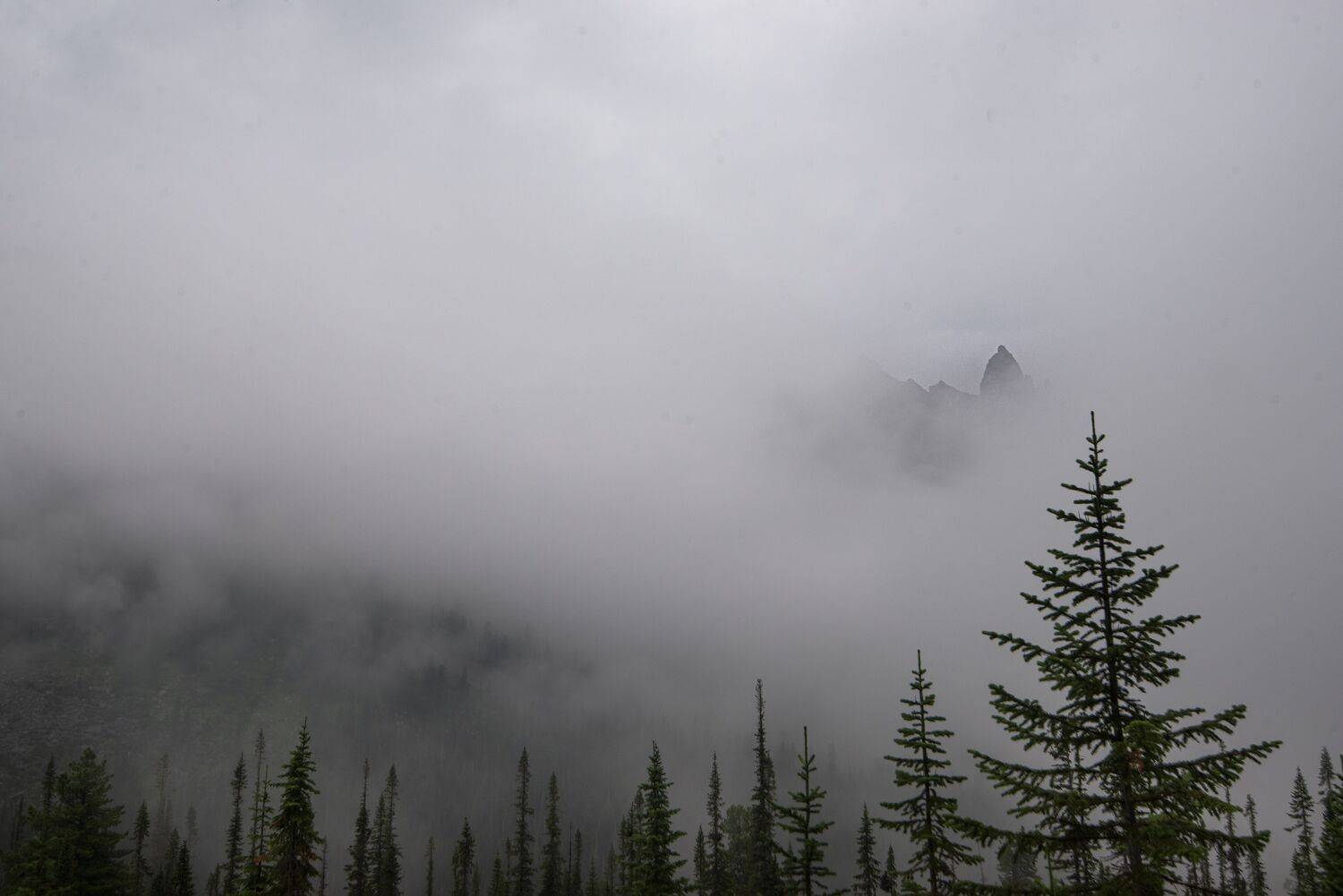 , Антонов Антон