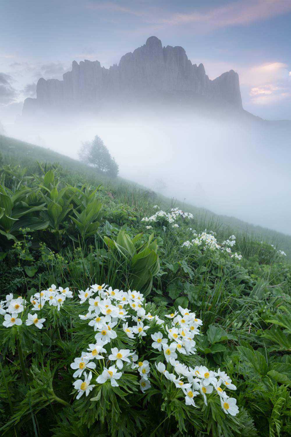 большой тхач, Валерий Щербина (sv-phototravel.com)