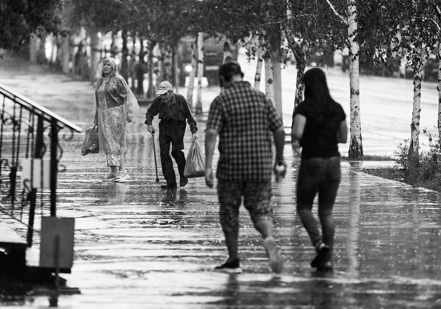 , Наталья Новикова