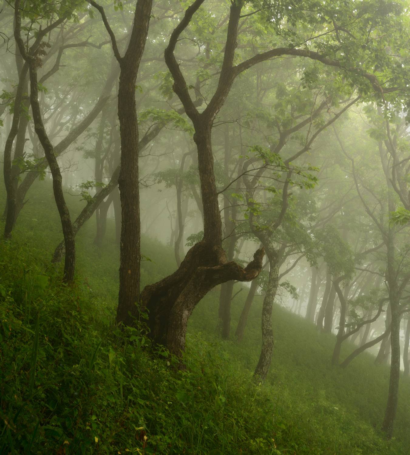 , Едуш Сергей