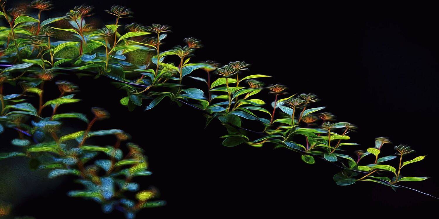 , Андрей Петросян