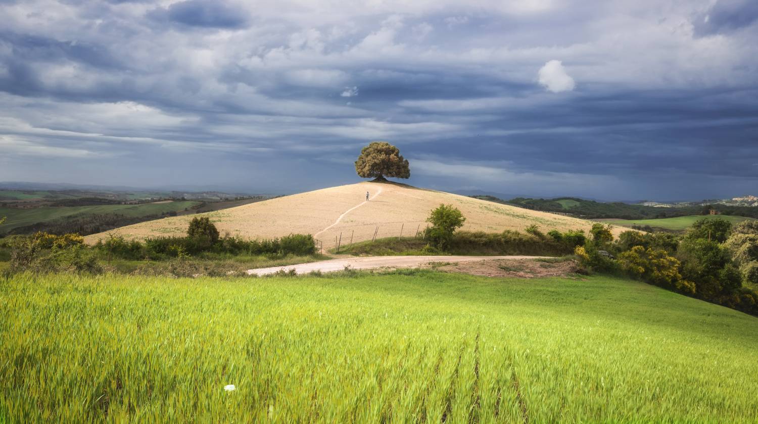 тоскана, лето, одинокий, Andrey Chabrov