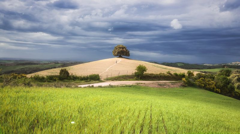 тоскана, лето, одинокий Solitario фото превью