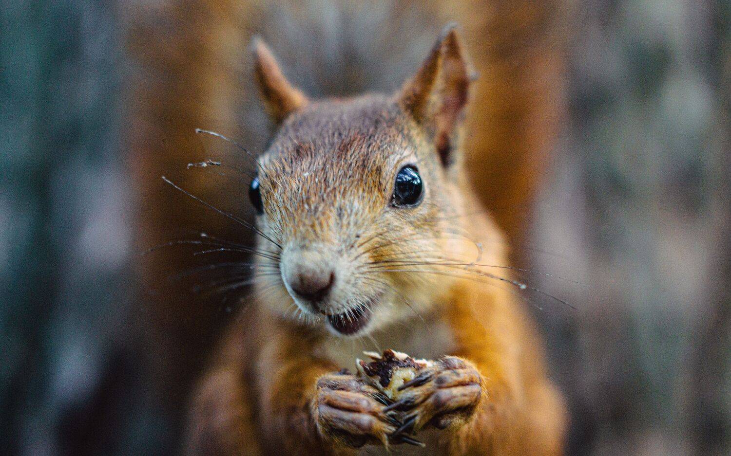 , Вертиков Юрий