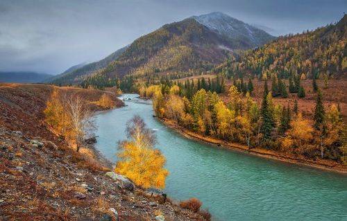 Берёзки у реки