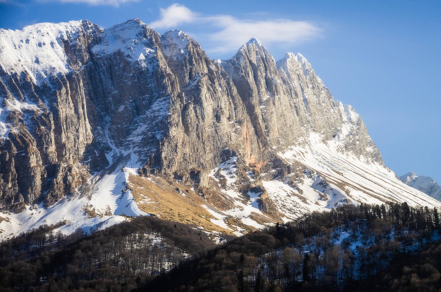 , Антон Литвин