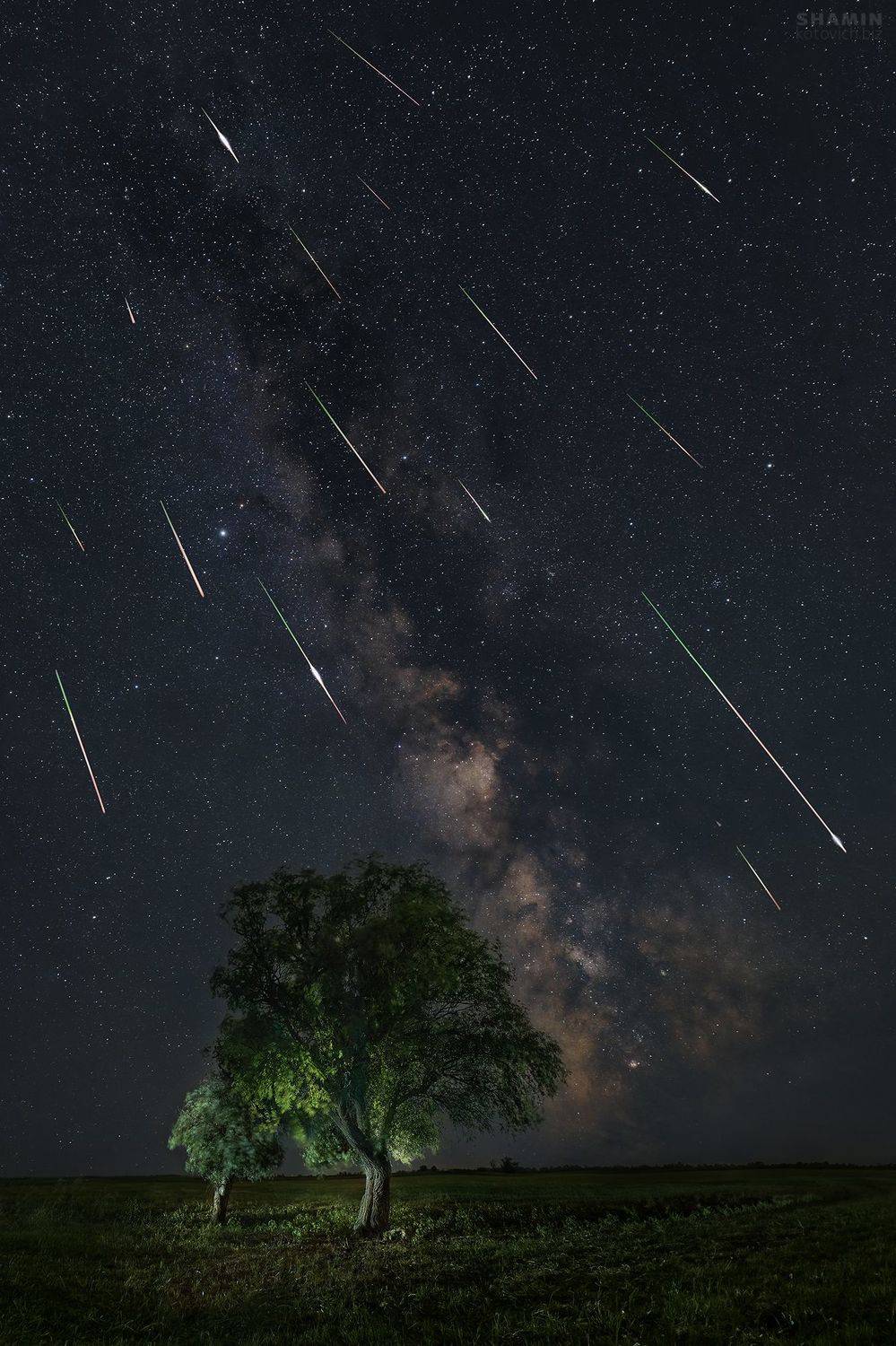 , Константин Шамин