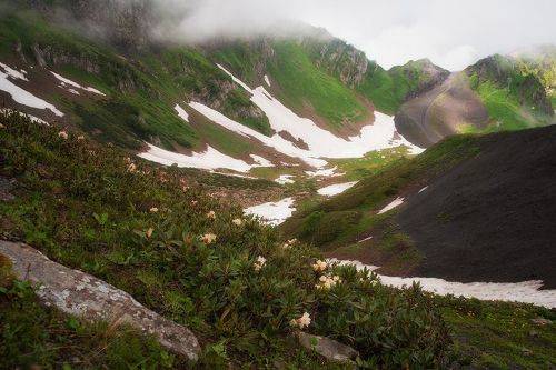 Снежное лето