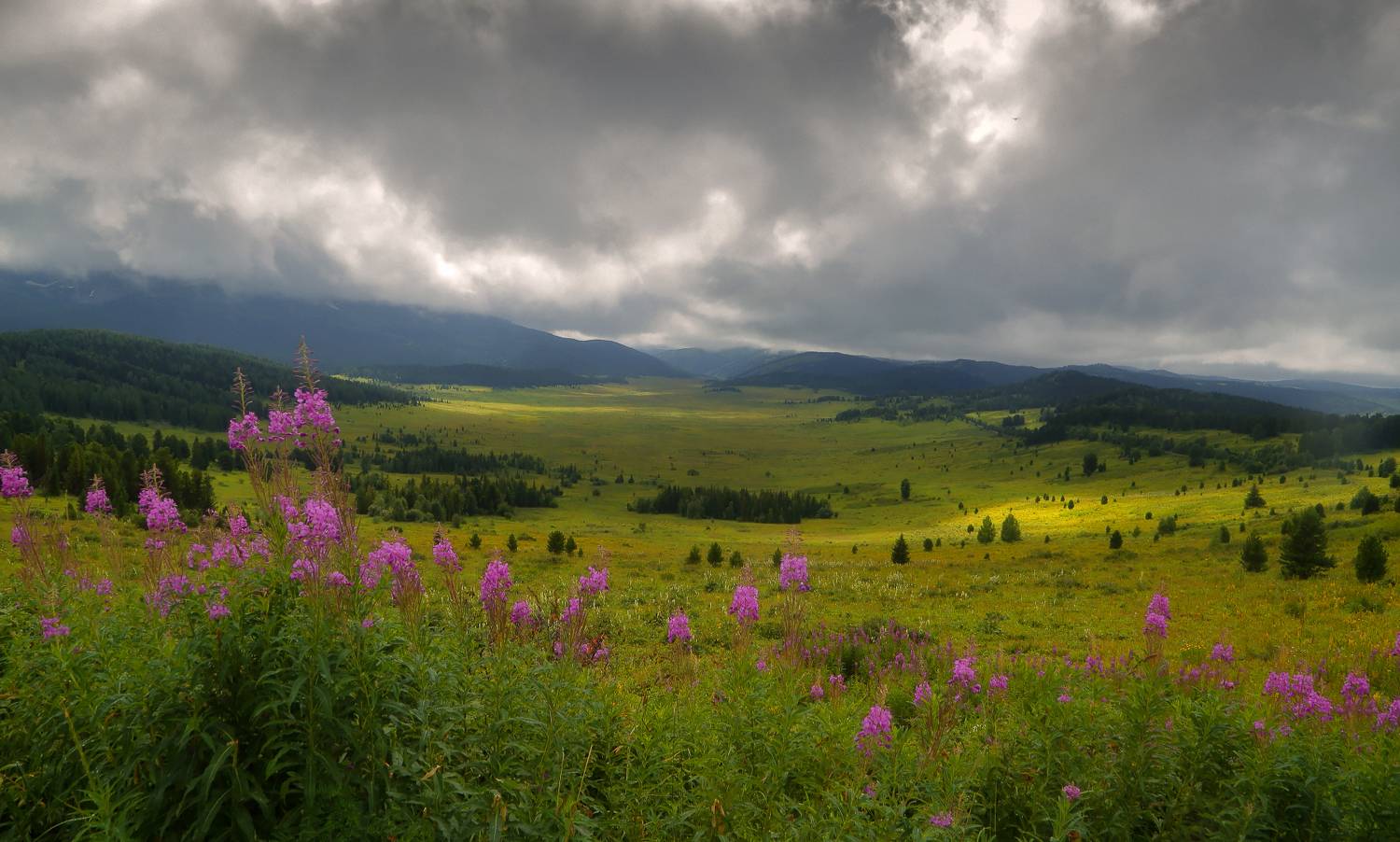, Евгений Зинов